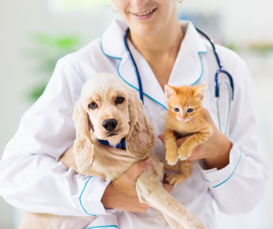 Licenciatura en Medicina Veterinaria